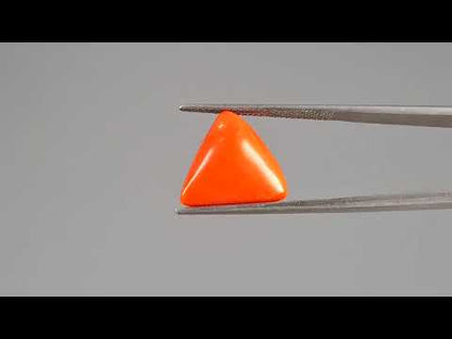 Red Coral (Moonga) - 9.28 Carats