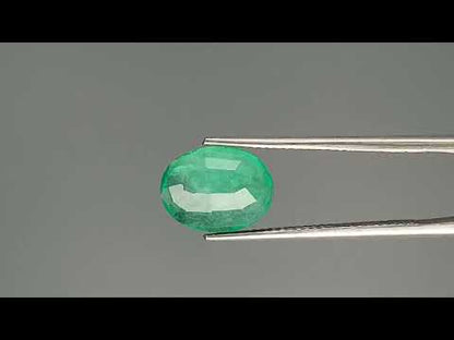 Emerald (Panna) - 3.01 Carats