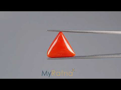 Red Coral (Moonga) - 6.77 Carats