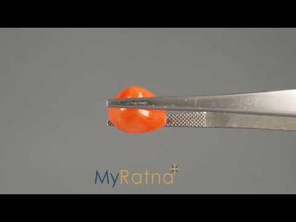 Red Coral (Moonga) - 7.99 Carats