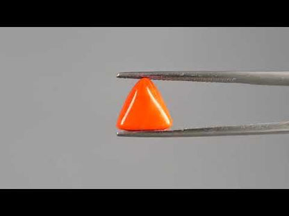 Red Coral (Moonga) - 3.11 Carats