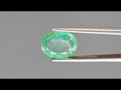 Emerald - 2.73 Carats (Panna - 2.98 Ratti)