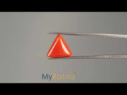 Red Coral (Moonga) - 4.67 Carats