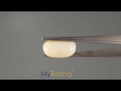 White Coral - 8.09 Carats