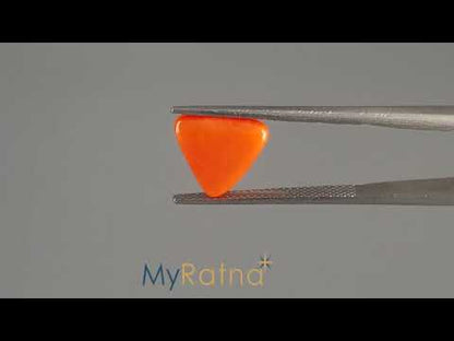 Red Coral (Moonga) - 3.70 Carats