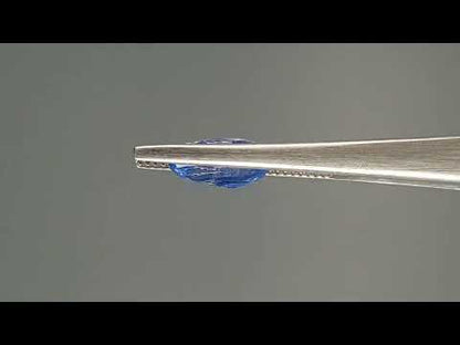 Blue Sapphire (Neelam) - 3.83 Carats