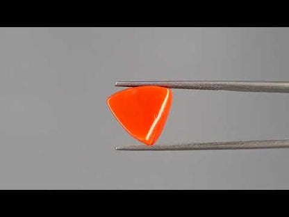 Red Coral (Moonga) - 7.88 Carats