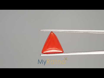 Red Coral (Moonga) - 3.30 Carats
