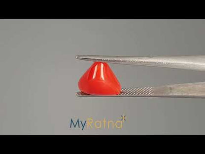 Red Coral (Moonga) - 5.95 Carats