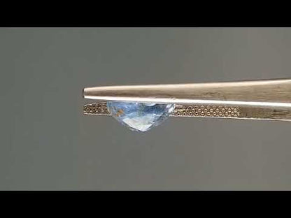 Blue Sapphire (Neelam) - 3.12 Carats