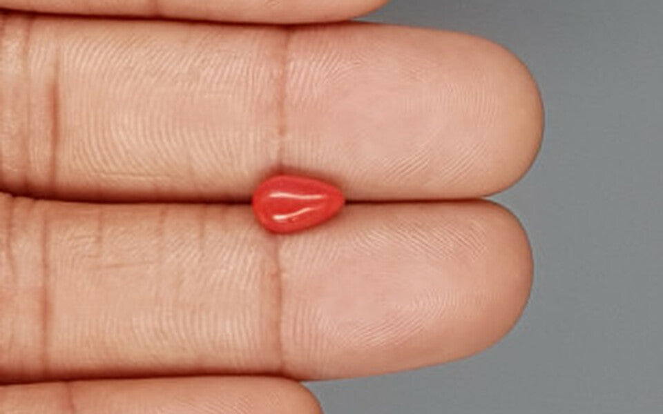 Red Coral (Moonga) Gemstone - 1.27 Carats
