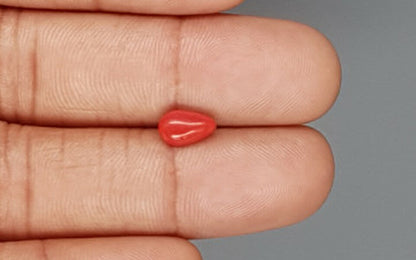 Red Coral (Moonga) Gemstone - 1.27 Carats