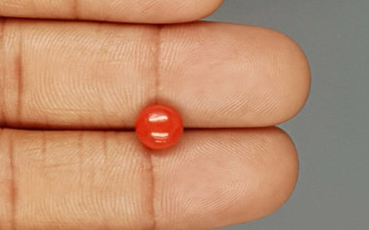 Red Coral (Moonga) Gemstone - 1.72 Carats