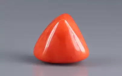 Red Coral (Moonga) - 16.63 Carats