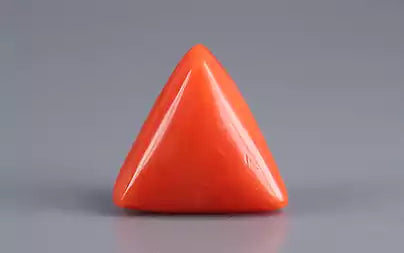 Red Coral (Moonga) - 8.51 Carats