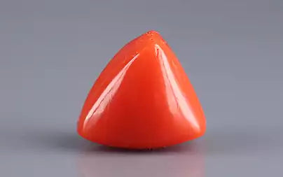 Red Coral (Moonga) - 7.88 Carats