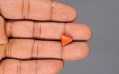 Red Coral (Moonga) - 2.97 Carats