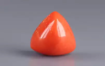 Red Coral - 12.16 Carats (Moonga - 13.25 Ratti)