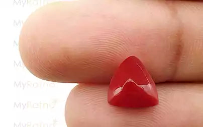 Red Coral - 3.49 Carats (Moonga - 3.80 Ratti)