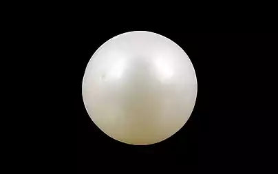 South Sea Pearl - 4.87 Carats (Moti - 5.31 Ratti)