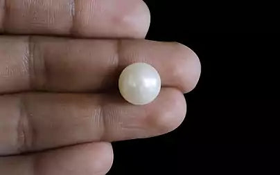 South Sea Pearl (Moti) - 11.23 Carats