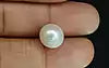 South Sea Pearl (Moti) - 9.77 Carats