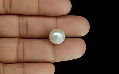 South Sea Pearl (Moti) - 9.64 Carats