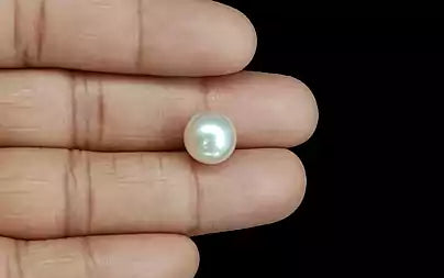 South Sea Pearl (Moti) - 8.51 Carats