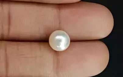 South Sea Pearl (Moti) - 4.81 Carats