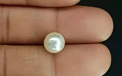 South Sea Pearl (Moti) - 4.94 Carats