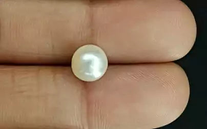 South Sea Pearl (Moti) - 3.97 Carats