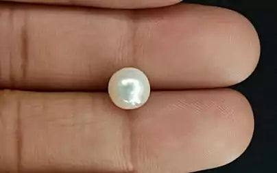 South Sea Pearl (Moti) - 3.59 Carats