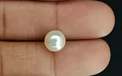 South Sea Pearl (Moti) - 4.55 Carats