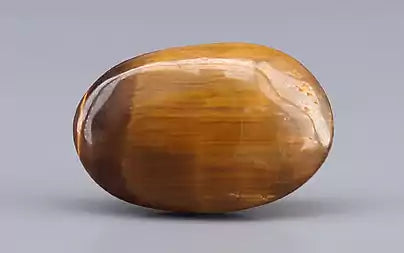 Tiger Eye - 8.88 Carats