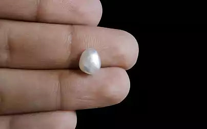 Vene Ratti Venezuela Pearl - 2.45 Carats (Moti - 2.67 Ratti) Stone at Best Price ...