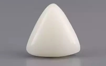 White Coral - 4.52 Carats