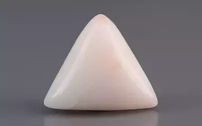 White Coral - 6.76 Carats