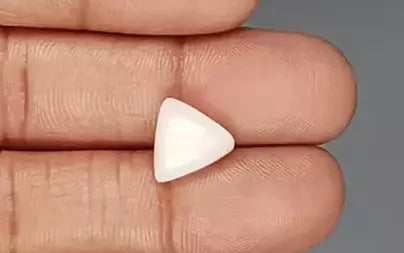 White Coral - 4.17 Carats