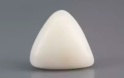 White Coral - 11.55 Carats