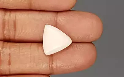 White Coral - 8.18 Carats
