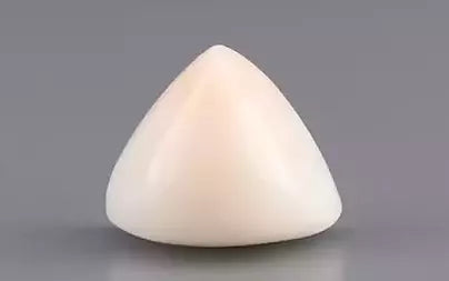 White Coral - 7.39 Carats