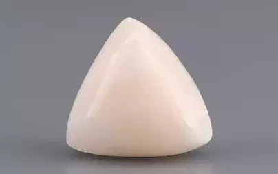 White Coral - 7.67 Carats