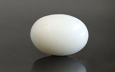 White Coral - 4.3 Carats
