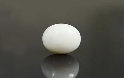 White Coral - 9.48 Carats