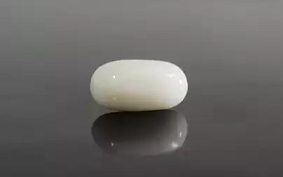 White Coral - 9.65 Carats