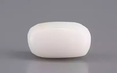 White Coral - 3.27 Carats