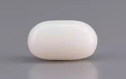 White Coral - 3.17 Carats