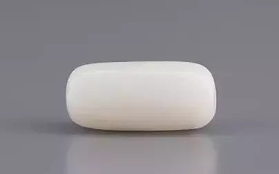 White Coral - 3.69 Carats