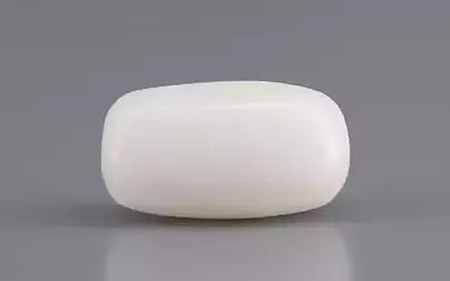 White Coral - 3.59 Carats