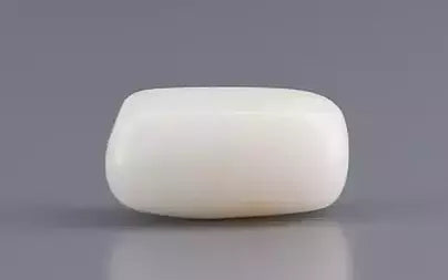 White Coral - 3.23 Carats